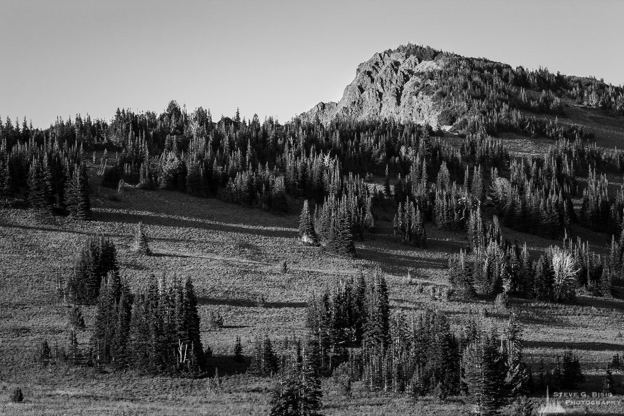 A black and white landscape photograph of Antler Peak as viewed from the alpine meadows in the Sunrise area of Mount Rainier National Park, Washington.