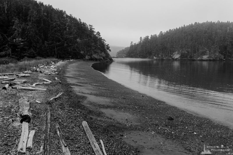 A black and white landscape photograph of the beach along Bowman Bay on a foggy Summer morning at Deception Pass State Park, Washington.