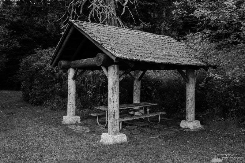 A black and white landscape photograph of a picnic shelter at Bowman Bay on a foggy Summer morning at Deception Pass State Park, Washington.