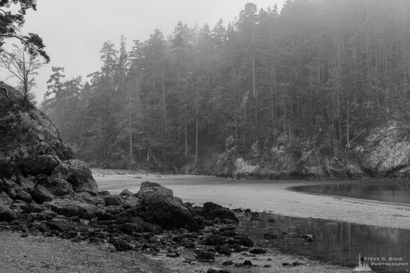 A black and white landscape photograph the Bowman Bay beach at low tide on a foggy Summer morning at Deception Pass State Park, Washington.