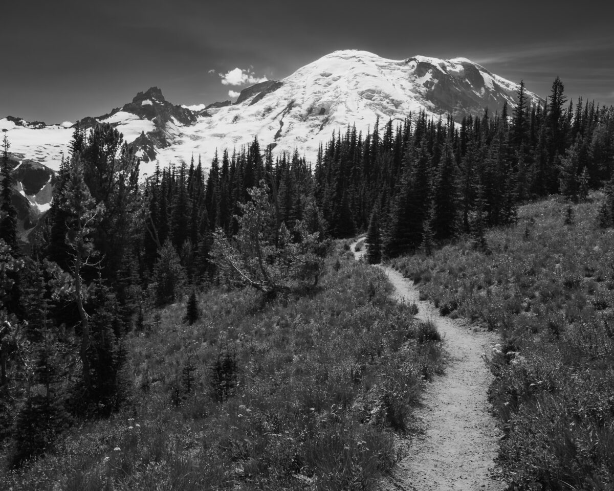 A black and white landscape photograph of Mount Rainier as viewed from the Silver Forest Trail in the Sunrise area of Mount Rainier National Park, Washington.