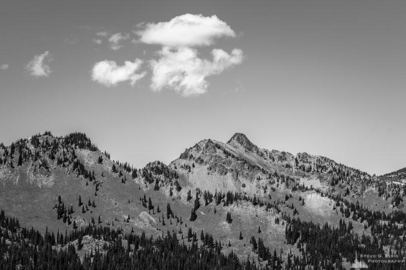A black and white landscape photograph of the Sourdough Mountains Range located in the Sunrise area of Mount Rainier National Park, Washington.