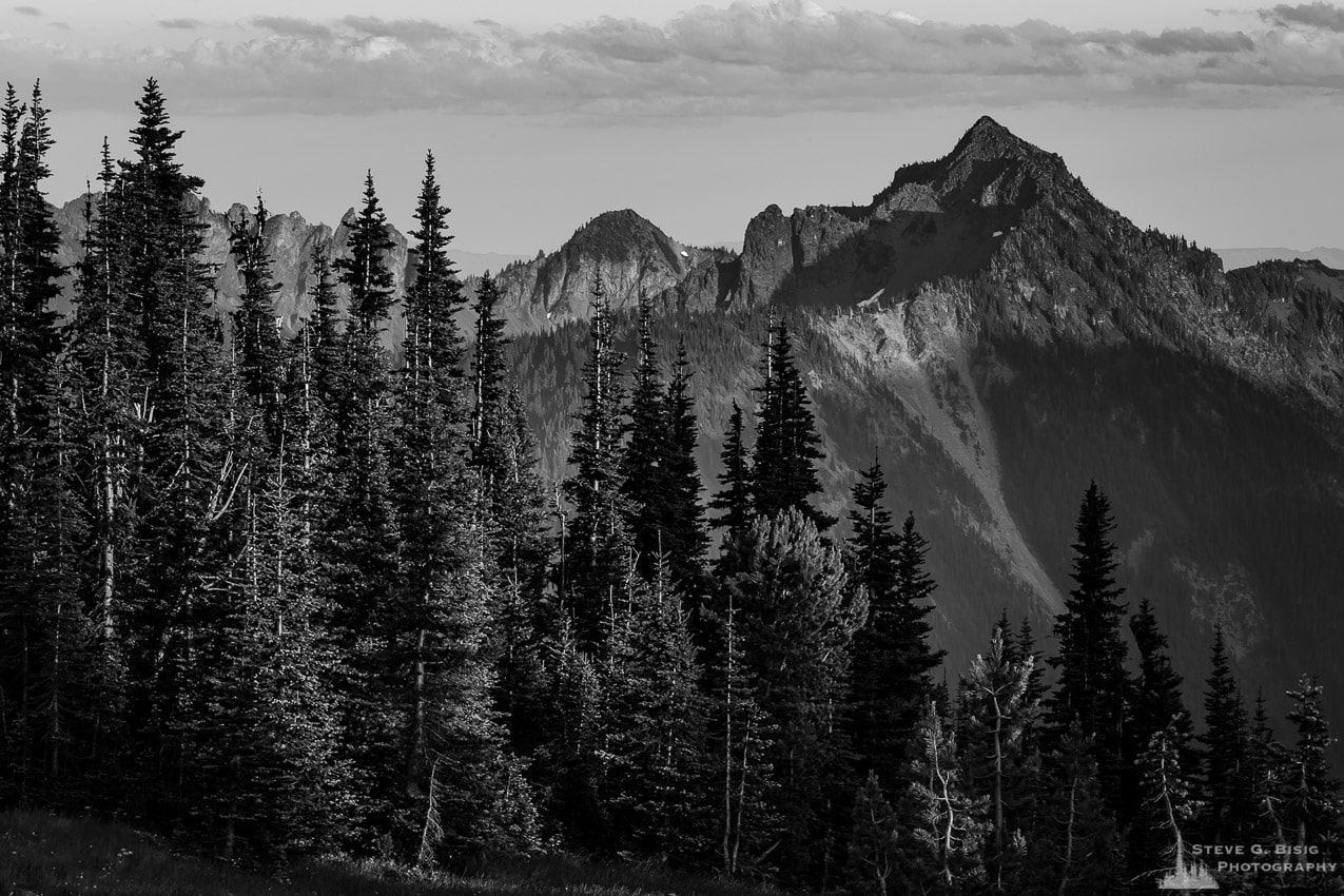 A black and white landscape photograph of Tamanos Mountain as viewed from the alpine meadows in the Sunrise area of Mount Rainier National Park, Washington.