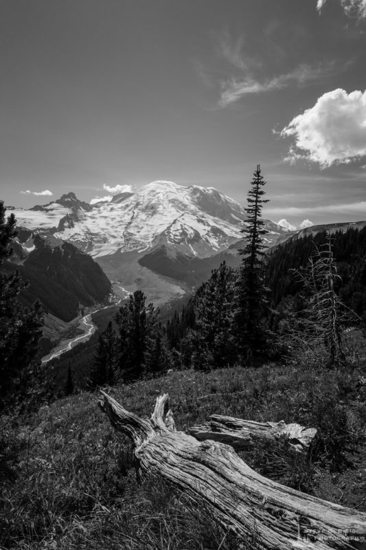 A black and white landscape photograph of Mount Rainier and the White River Valley as viewed from the Silver Forest Trail in the Sunrise area of Mount Rainier National Park, Washington.
