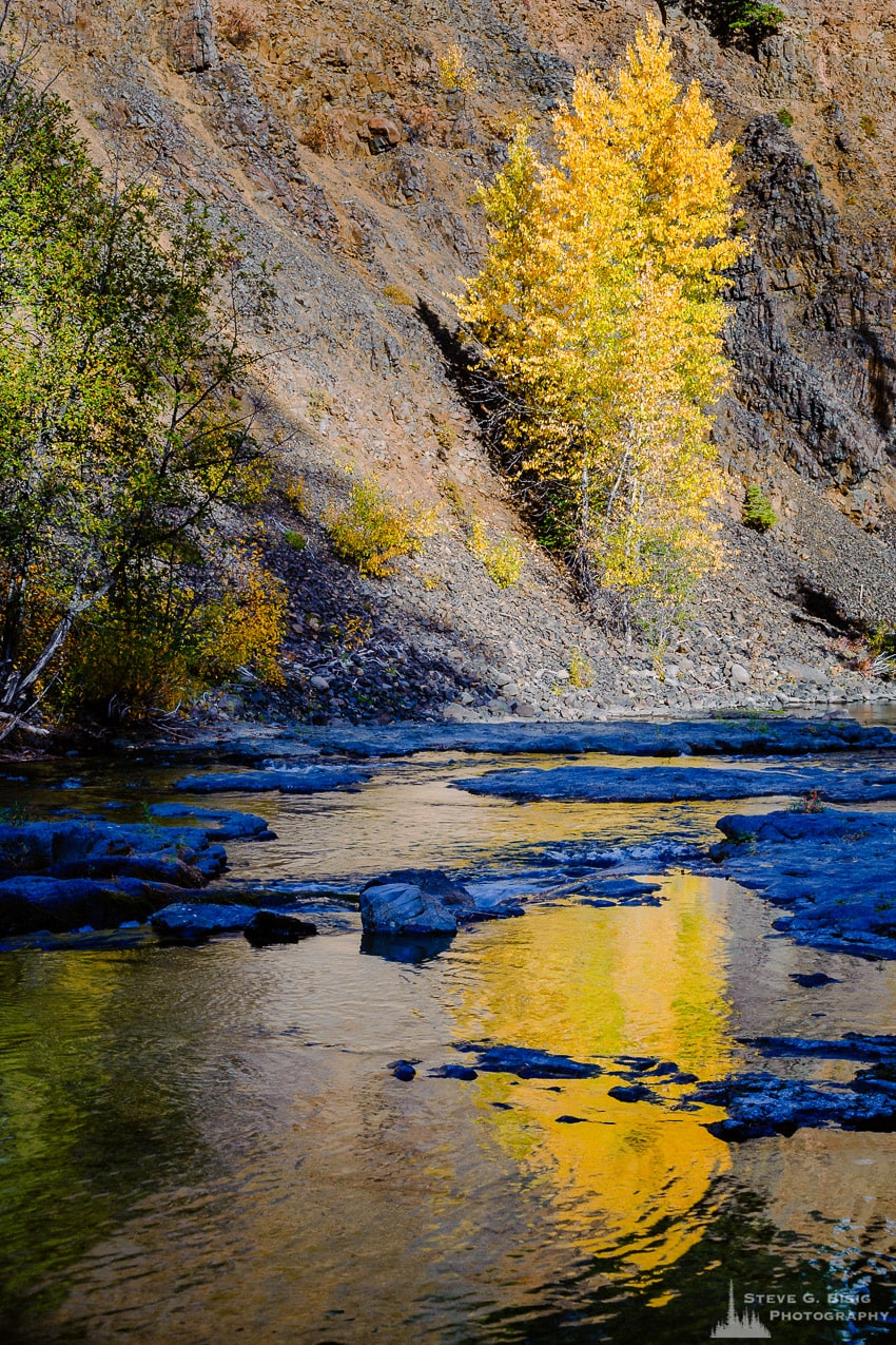 Autumn Reflections, Little Naches River, Washington, 2016