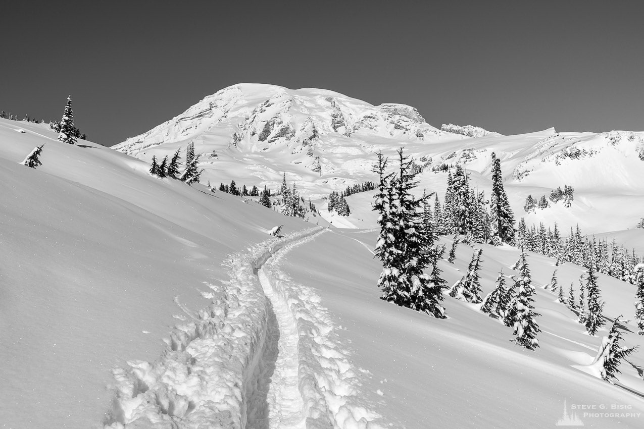 A black and white landscape photograph of a snow-covered trail captured on a sunny winter day in the Paradise area of Mount Rainier National Park, Washington.
