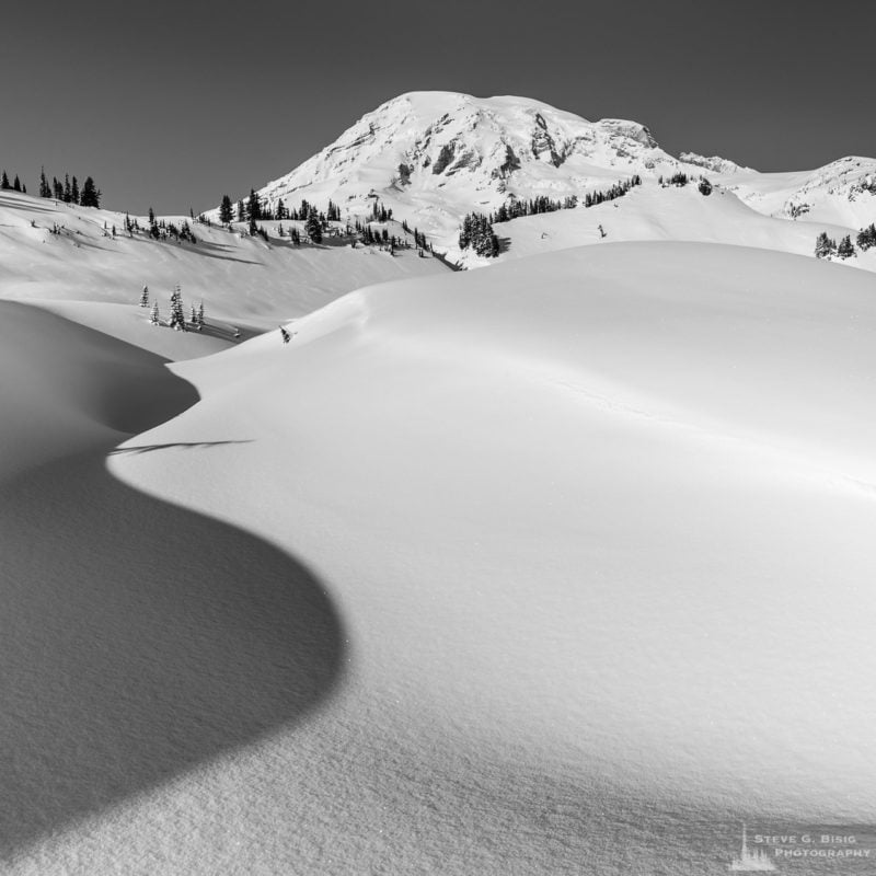 A square black and white Pacific Northwest landscape photograph of shadows in the snow created by a creekbed meandering upwards towards Mount Rainier. This image was captured on a sunny winter day in the Paradise area of Mount Rainier National Park, Washington.
