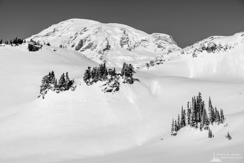 A black and white Pacific Northwest landscape photograph of Mount Rainier captured on a sunny winter day in the Paradise area of Mount Rainier National Park, Washington.