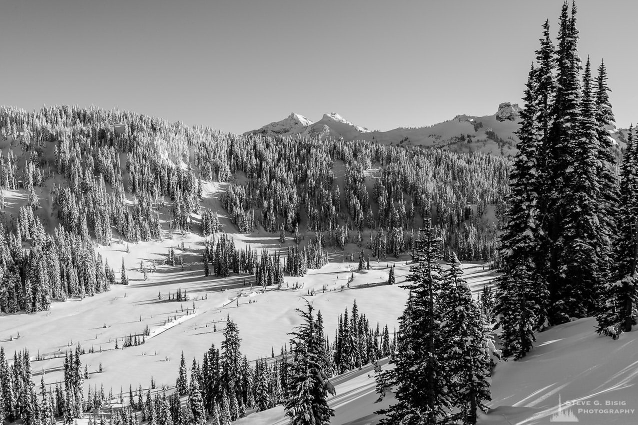 A black and white landscape photograph of the snow-covered lower Paradise River Valley captured on a sunny winter day in the Paradise area of Mount Rainier National Park, Washington.