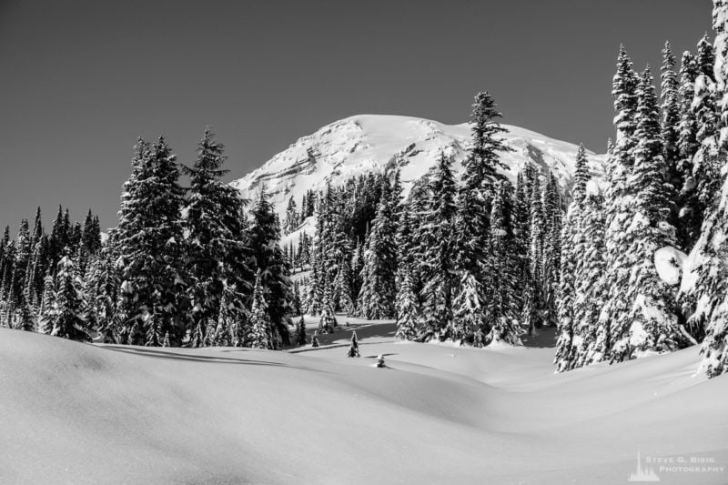 Winter Meadows, Paradise, Mount Rainier, Washington, 2017