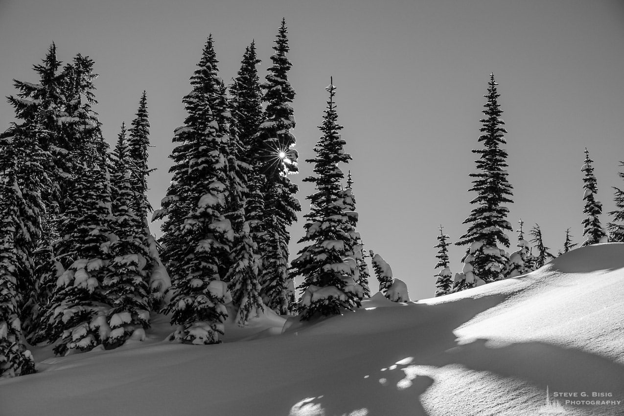 A black and white landscape photograph of a sunburst shining through the trees as captured on a sunny winter day in the Paradise area of Mount Rainier National Park, Washington.