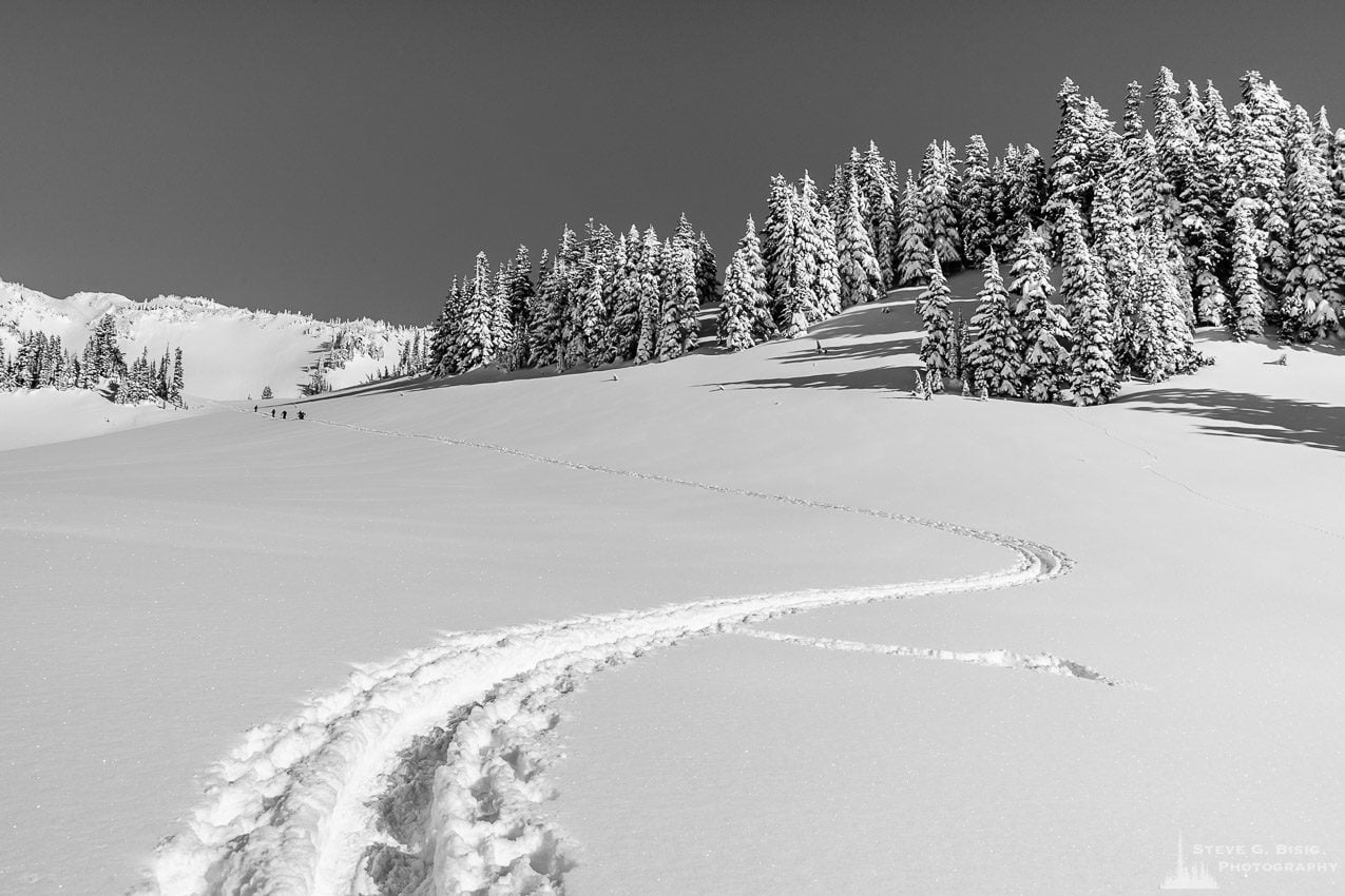 A black and white landscape photograph of a ski/snowshoe trail captured on a sunny winter day in the Paradise area of Mount Rainier National Park, Washington.