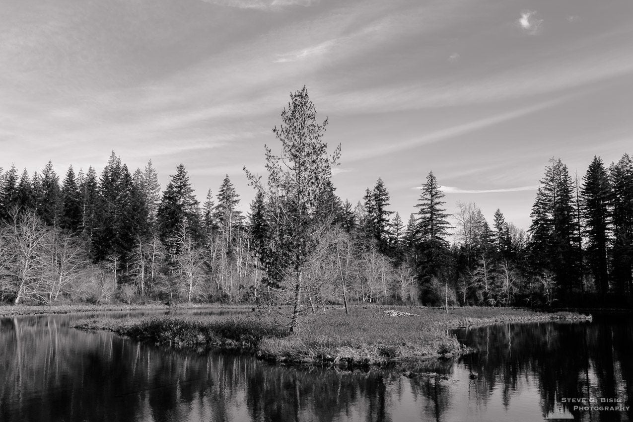 A mid-winter black and white landscape photograph of an island and forested shoreline of Lake West near FR2340 in rural Mason County, Washington.