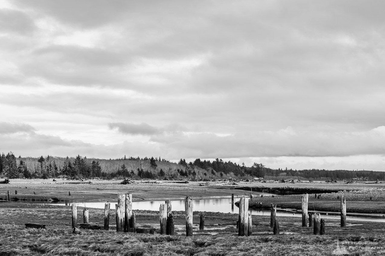 A black and white landscape photograph of Campbell Slough at low tide on a winter afternoon along Burrows Road in rural Grays Harbor County, Washington.