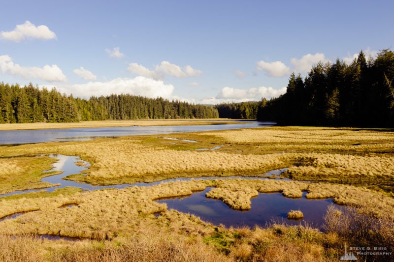 Seasonal Creek, Gifford Pinchot National Forest, Washington, 2019 ...