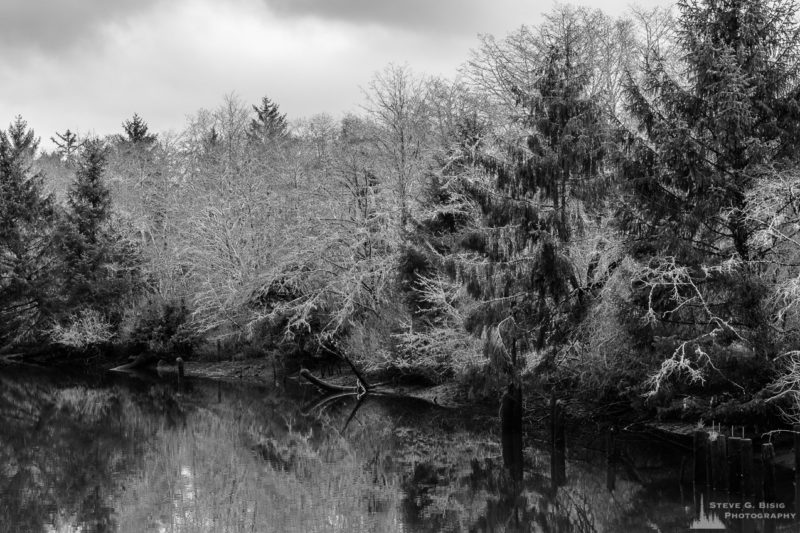 A black and white landscape photograph of Jessie Slough in rural Grays Harbor County, Washington.