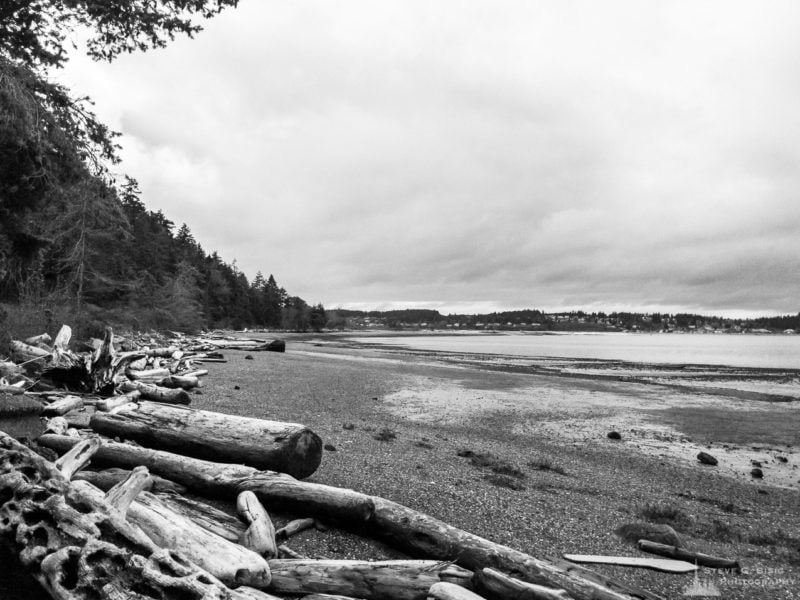 A black and white mobile landscape photograph of the beach along Maylors Point on NAS Whidbey at Oak Harbor, Washington.