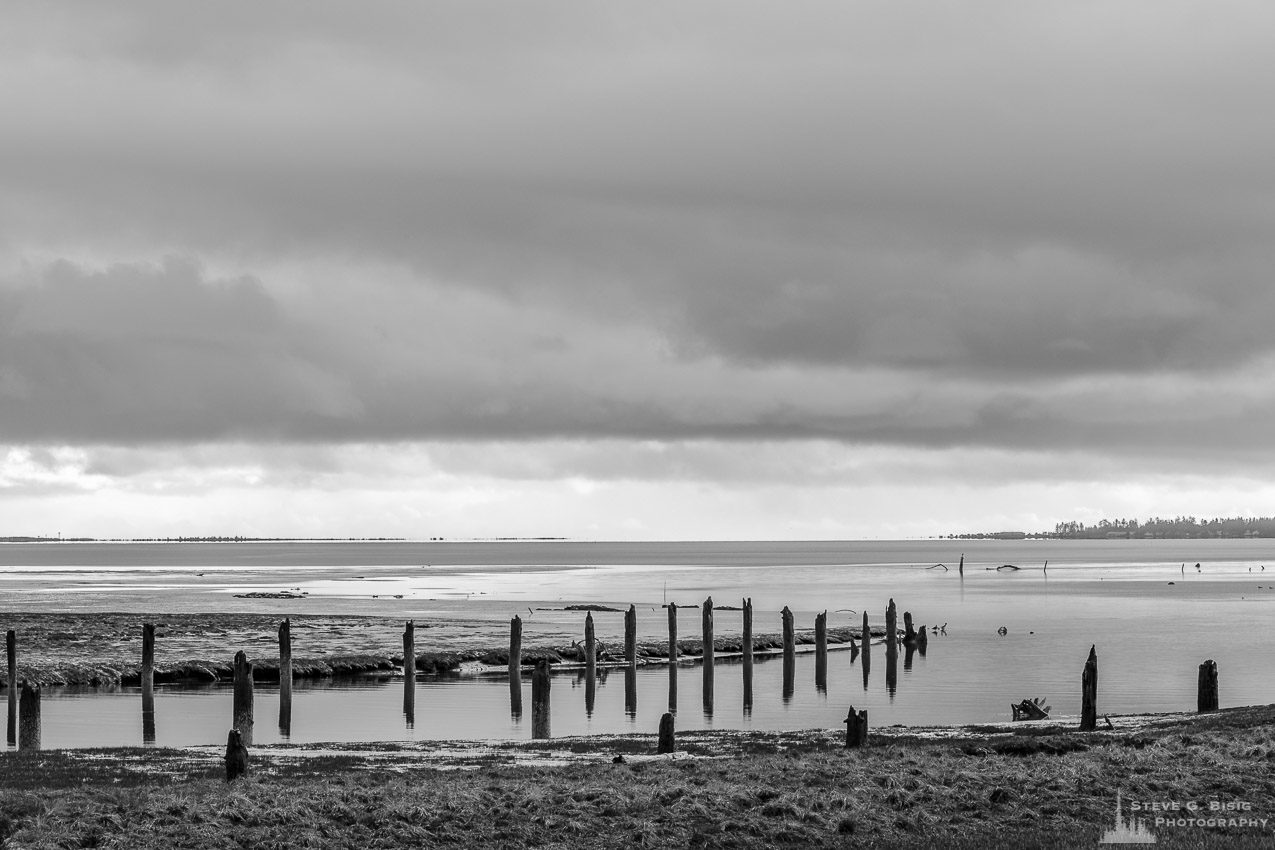 A black and white landscape photograph of the mouth of Campbell Slough where it opens up to Grays Harbor along Burrows Road in rural Grays Harbor County, Washington.