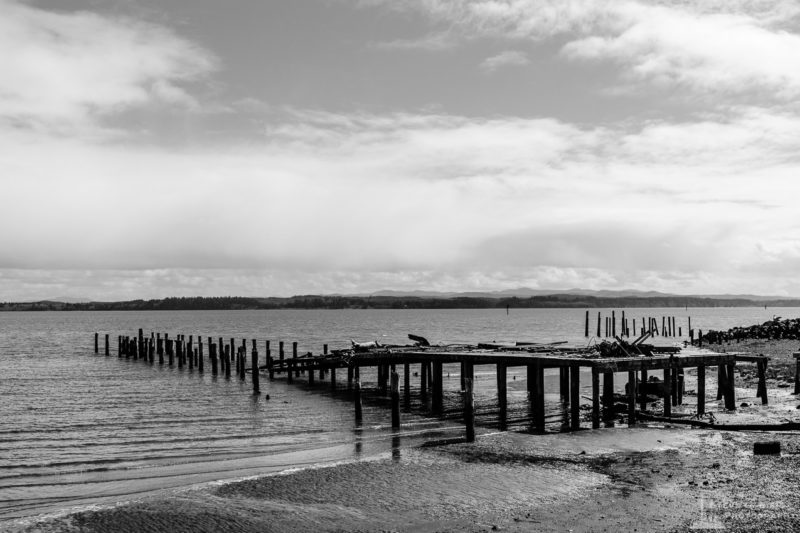A black and white rural landscape photograph of an old dilapidated dock in Tokeland, Washington.