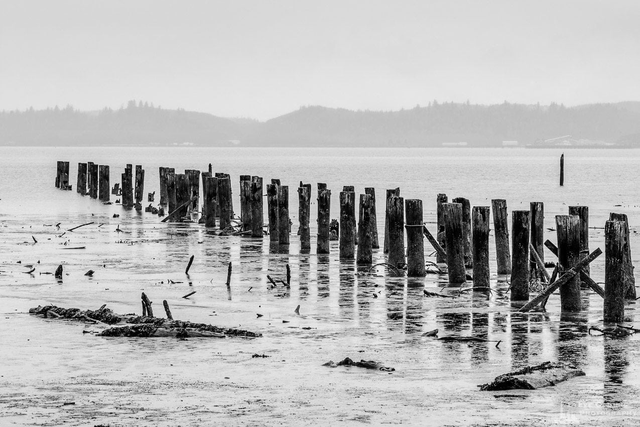 A black and white landscape photograph of old pilings and adjacent mudflats along the southshore of Grays Harbor, Washington at low tide.