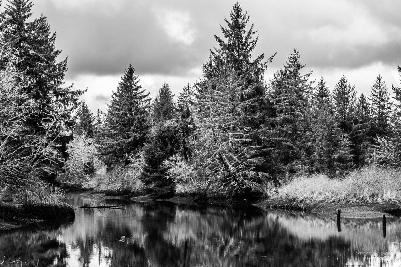 A black and white landscape photograph of Jessie Slough at slack tide in rural Grays Harbor County, Washington.