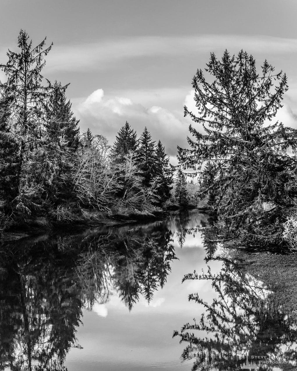 A black and white landscape photograph of Jessie Slough on a winter afternoon in rural Grays Harbor County, Washington.