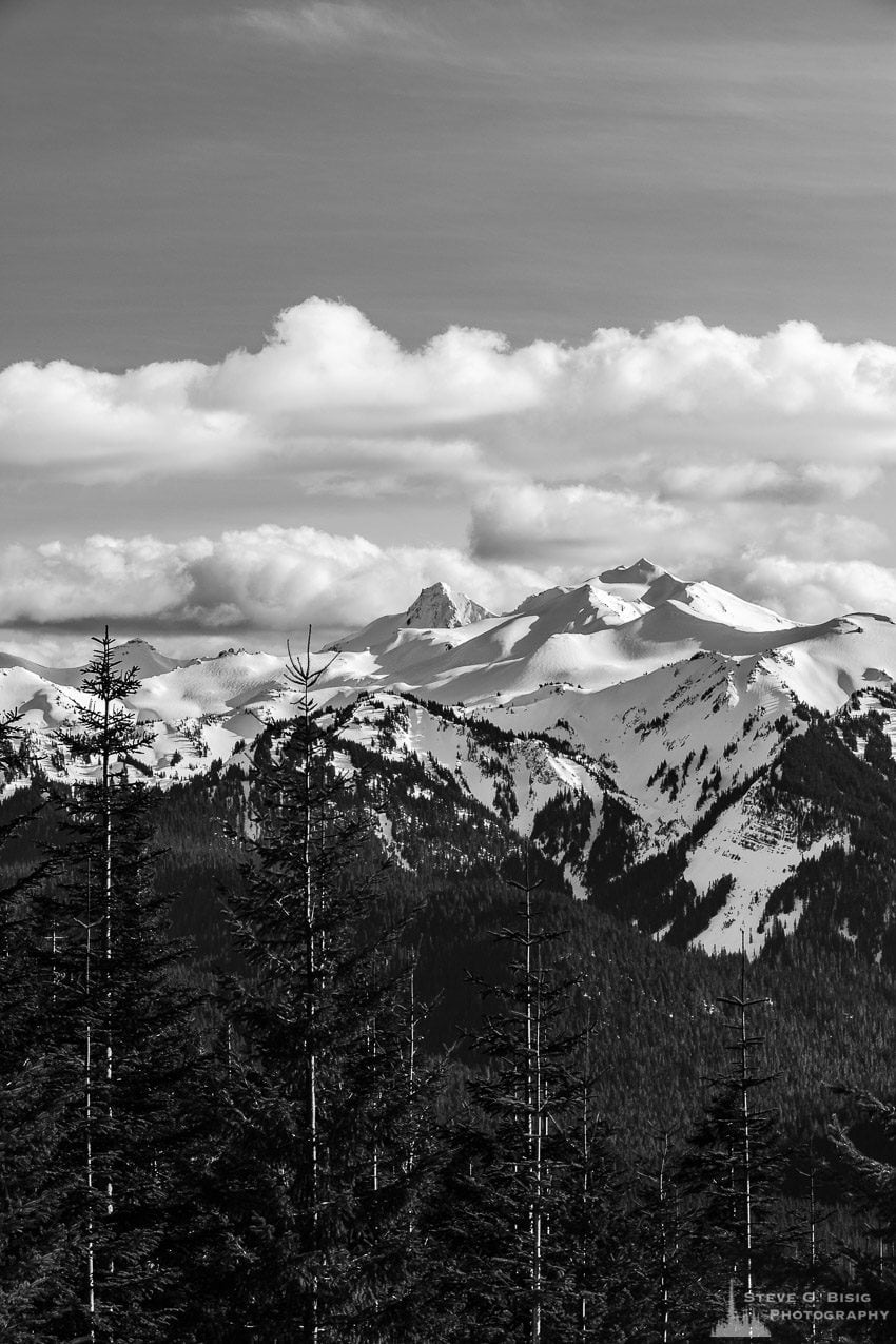 A black and white landscape photograph of Old Snowy Mountain in the Goat Rocks Wilderness Area as viewed from Gifford Pinchot National Forest Road 1284 in Lewis County, Washington.