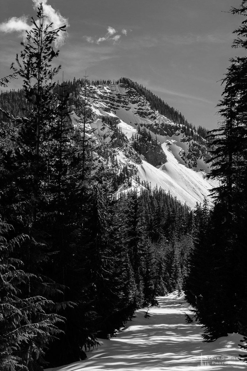 A black and white landscape photograph of Hogback Ridge under a blanket of early spring snow as viewed from Gifford Pinchot National Forest Road 1284 in Lewis County near White Pass, Washington.