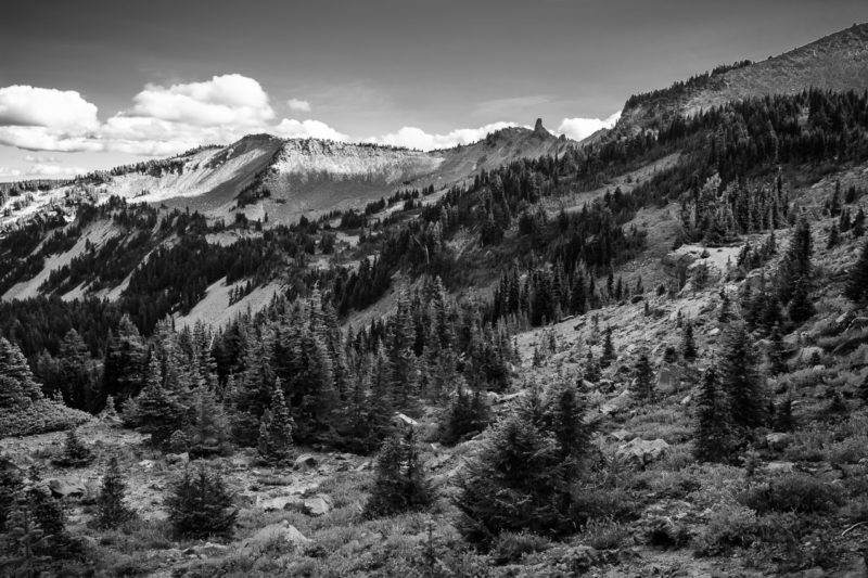 Hogback Ridge, Pacific Crest Trail, Washington, 2017