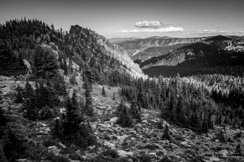 A black and white landscape photograph of the views from the Pacific Crest Trail (PCT) near White Pass, Washington.
