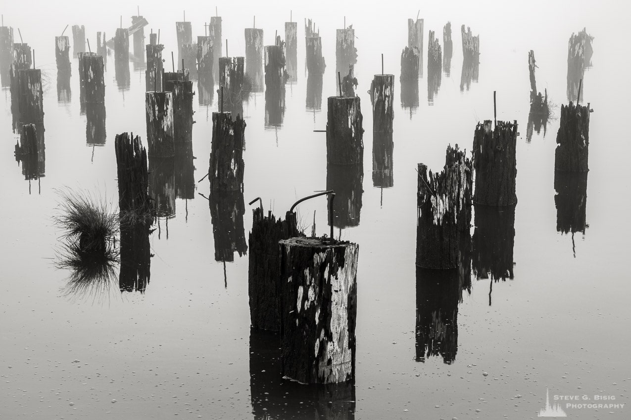 One of a series of black and white photographs of an old wharf along the Willapa River on a foggy autumn morning in Raymond, Washington.