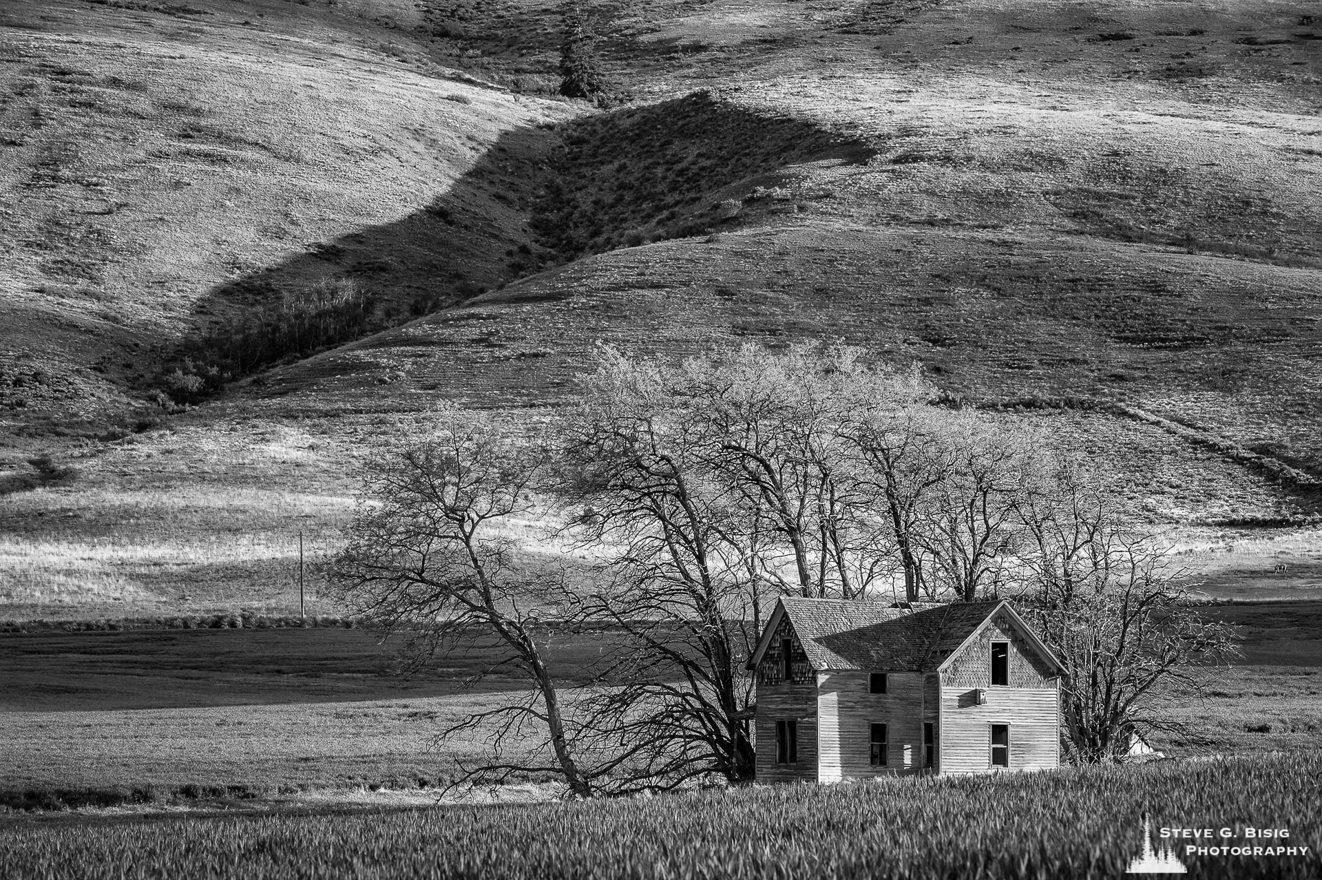 A black and white photograph of an old two-story farmhouse in rural Douglas County near Waterville, Washington.