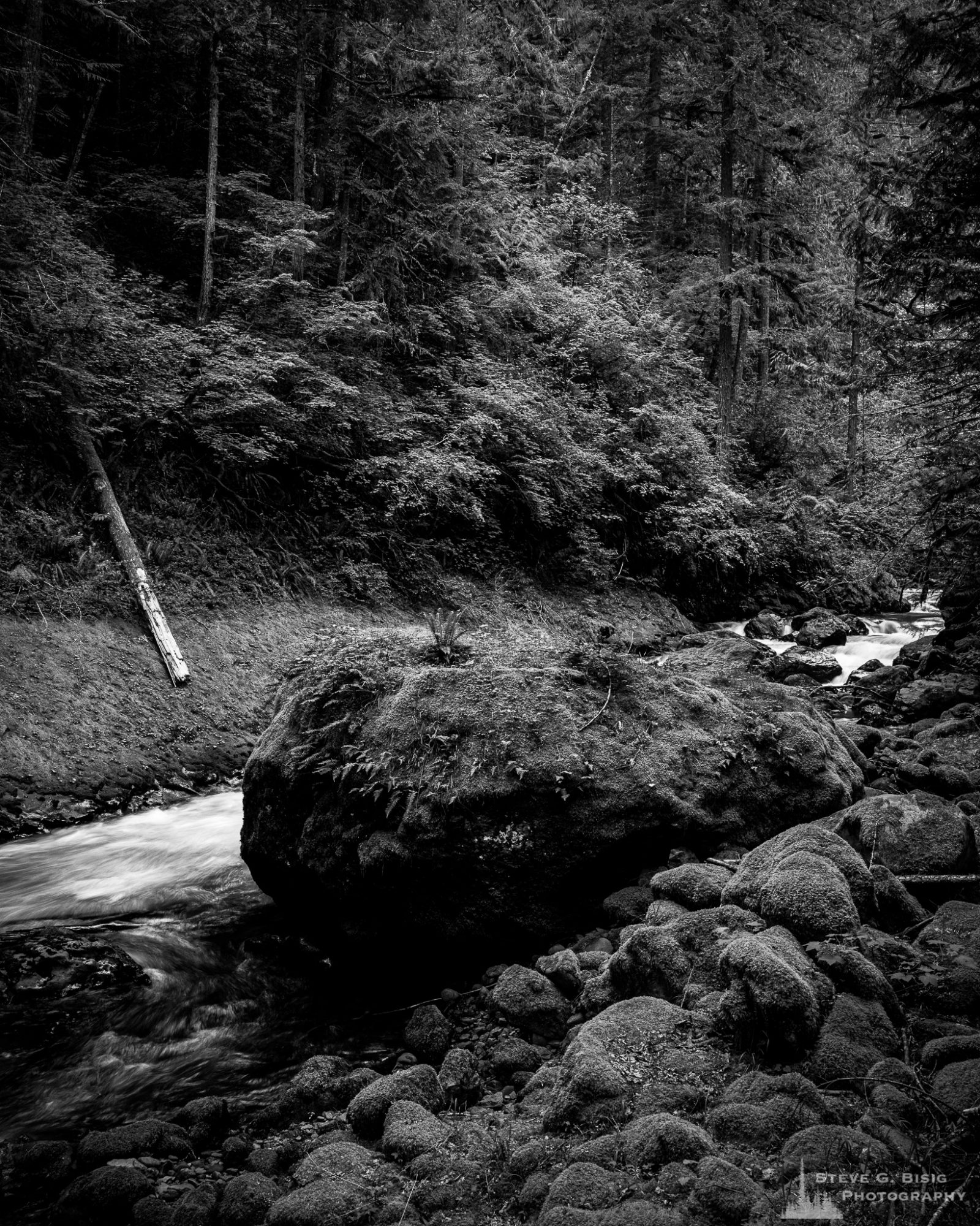 A black and white landscape photograph of moss-covered rocks in a stream bed found along Forest Road 52 (Skate Creek Road) in the Gifford Pinchot National Forest, Washington.