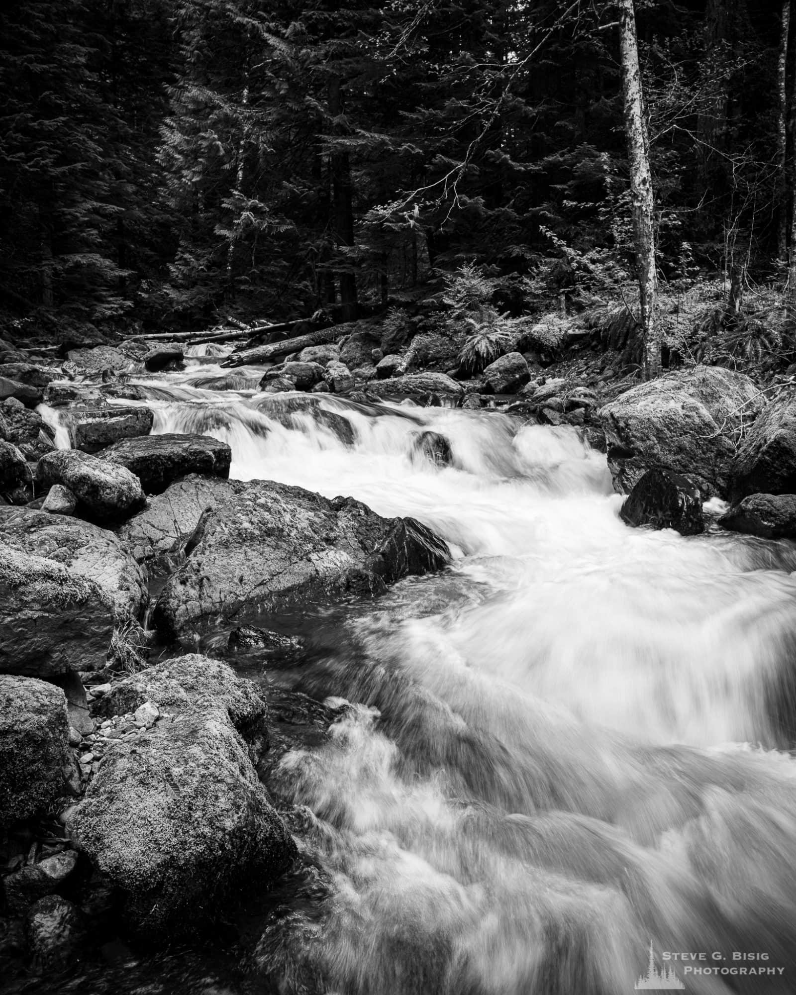 A black and white landscape photograph of a mountain stream found along Forest Road 52 (Skate Creek Road) in the Gifford Pinchot National Forest, Washington.