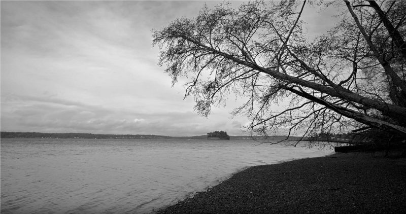 ONE MINUTE LANDSCAPE: Winter Day on the Puget Sound, Washington, 2020