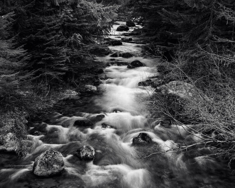Huckleberry Creek, Washington, 2014