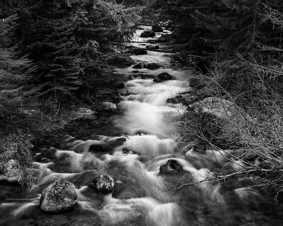 A black and white landscape photograph of Huckleberry Creek in Pierce County, Washington just outside Mount Rainier National Park on a late Autumn day.