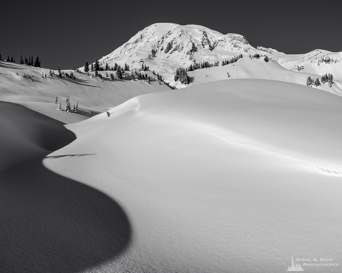 A black and white landscape photograph of shadows in the snow created by a creekbed meandering upwards towards Mount Rainier as captured on a sunny winter day at the Paradise area of Mount Rainier National Park, Washington.