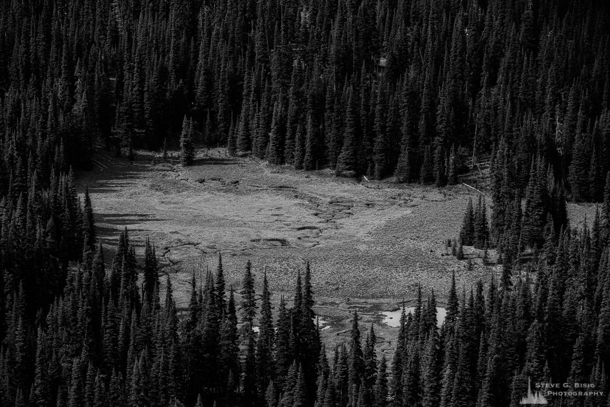 A black and white landscape photograph of a mountain meadow along Sunrise Creek in Mount Rainier National Park, Washington.