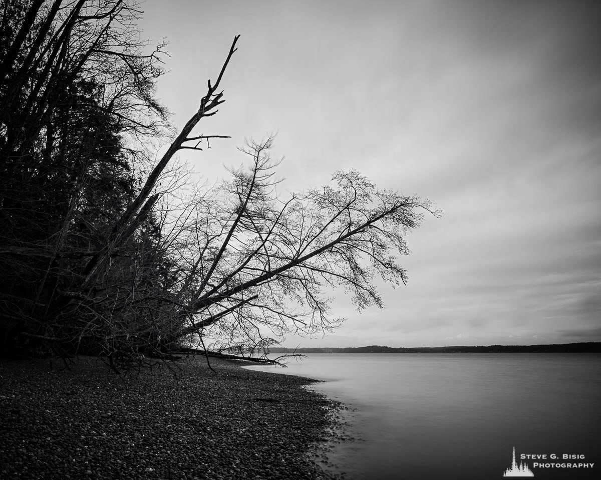 A black and white fine art long exposure landscape photograph of trees overhanging a rocky beach on the Puget Sound at Kopachuck State Park, Washington.