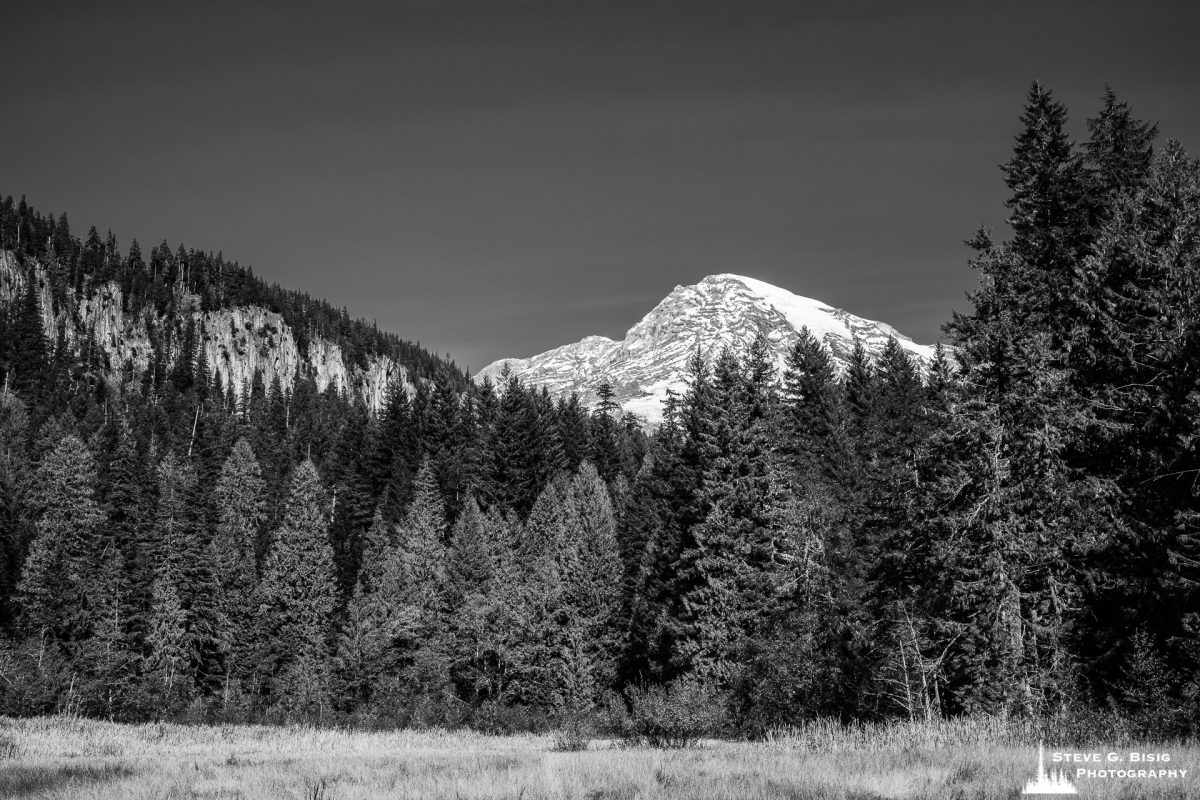 A black and white landscape photograph of Mt. Rainier as viewed from Longmire Meadows, Washington.