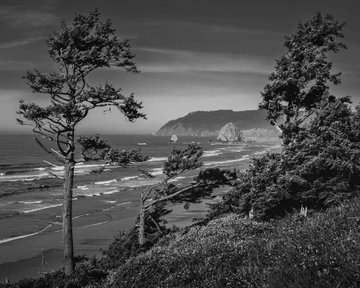 A black and white landscape photograph of the Pacific Ocean along the Oregon Coast near Cannon Beach, Oregon.