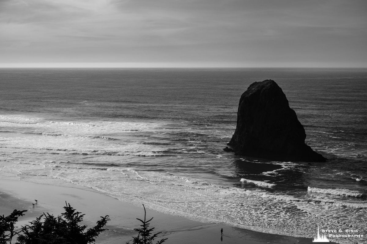 A black and white photograph of the ocean views along US101 in Oregon.
