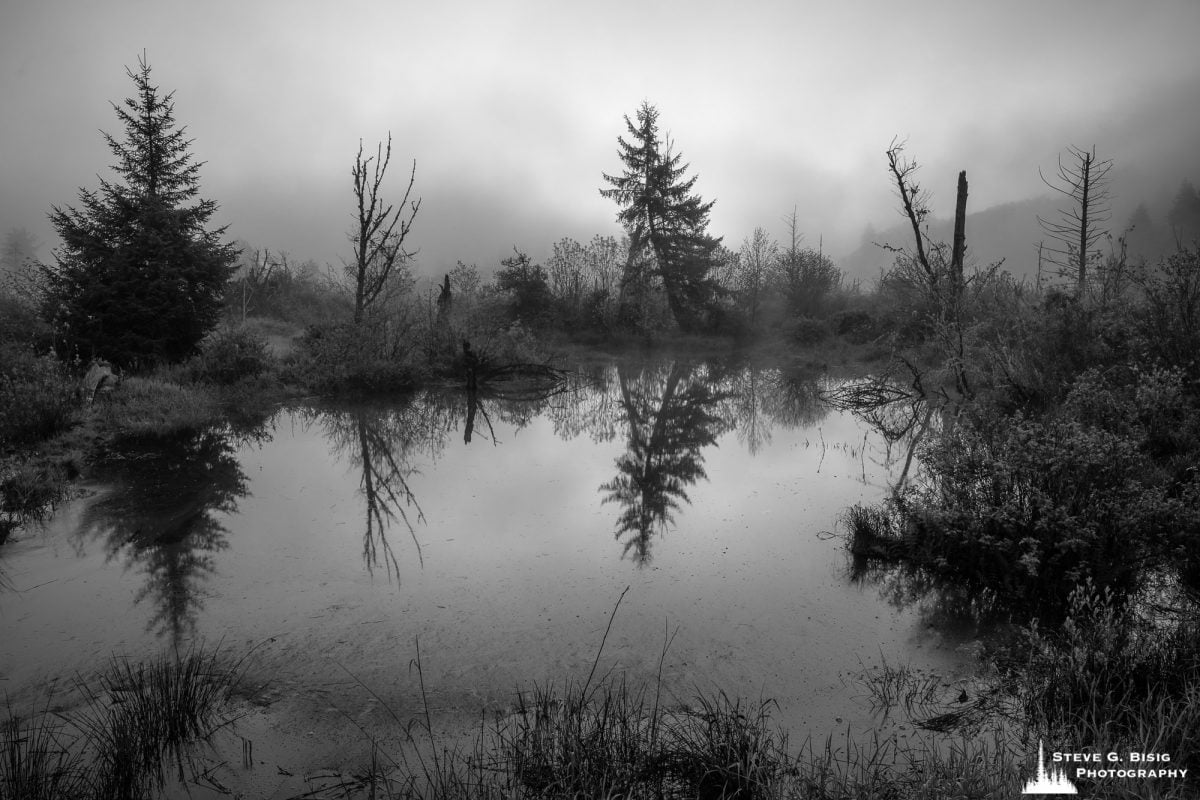 A black and white landscape photograph of the Grays River Estuary in Southwest Washington on a foggy spring morning.