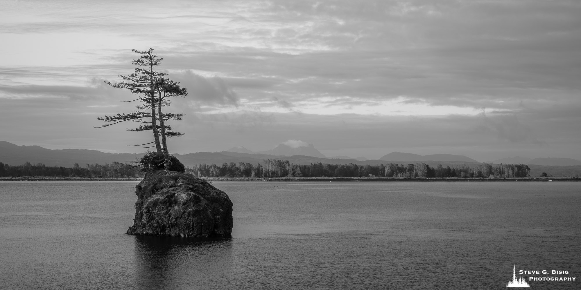 A black and white landscape photograph of two trees growing on a rock in the Columbia River near Altoona, Washington.