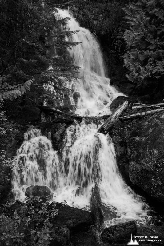 Waterfall, Falls Creek, Mt Rainier National Park, Washington, 2021