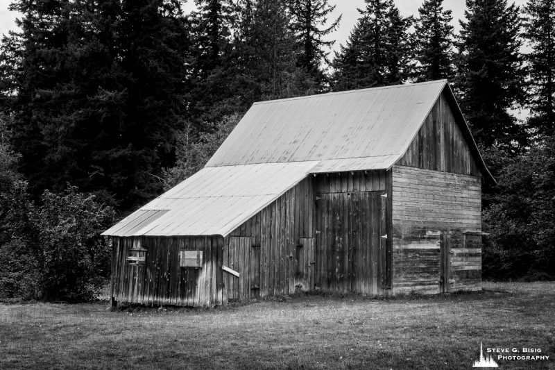 A black and white photograph of an old barn near Enumclaw, Washington.