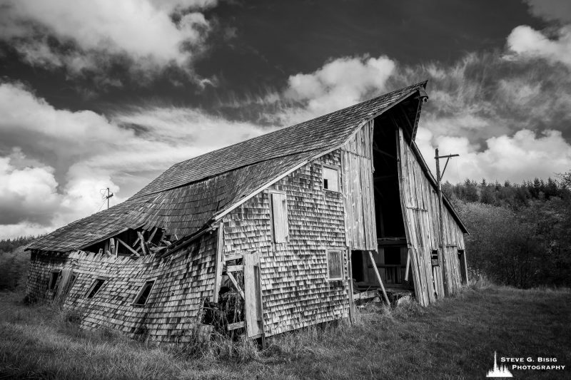 A black and white photograph of an old barn near Willapa, Washington.