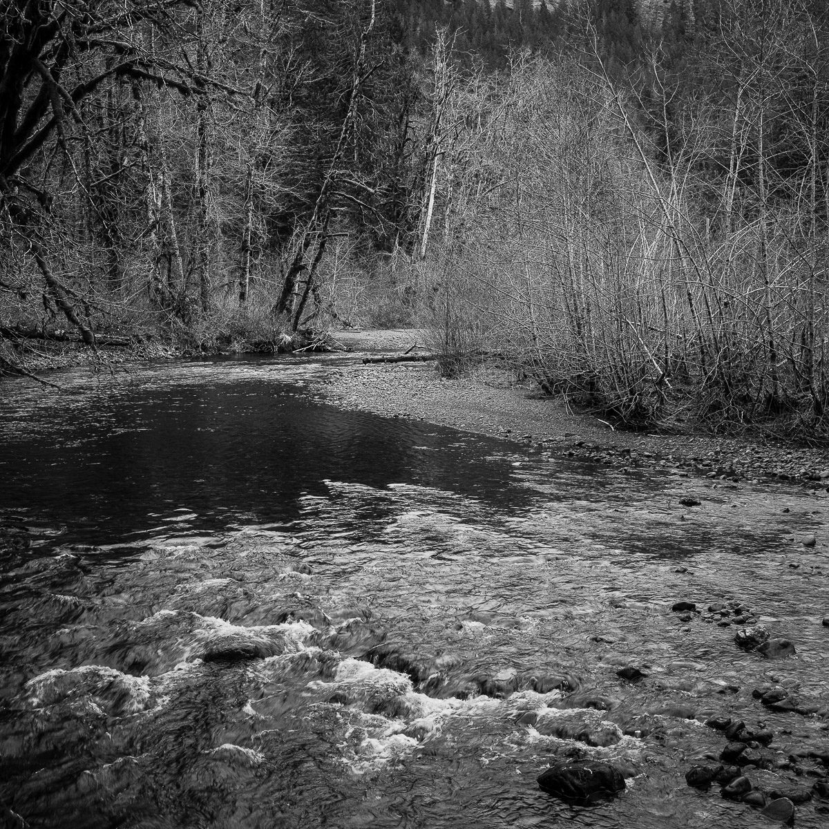 A black and white intimate landscape photograph of the Hamma Hamma River in the Olympic National Forest in rural Mason County, Washington.