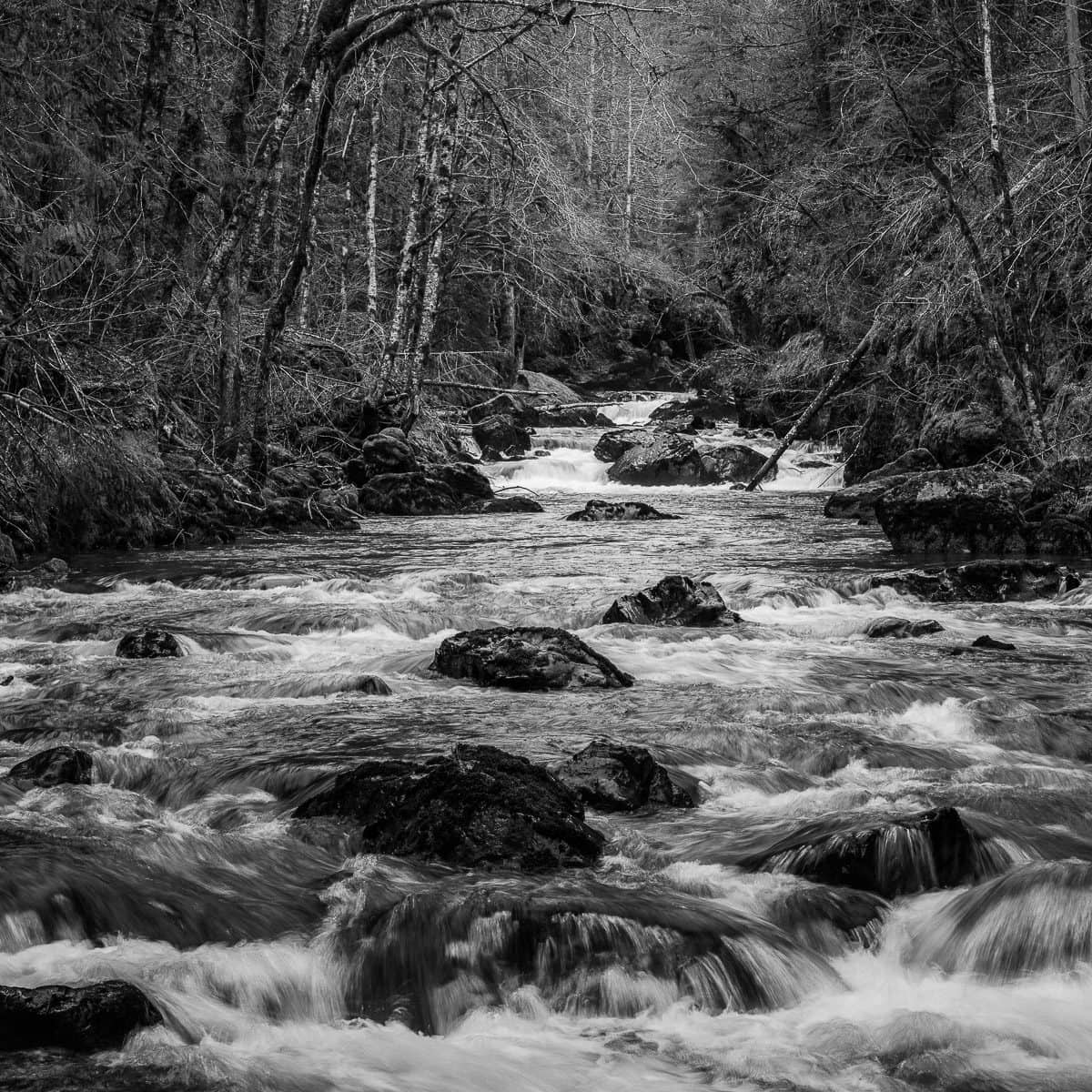 A black and white intimate landscape photograph of the Hamma Hamma River in the Olympic National Forest, Washington.